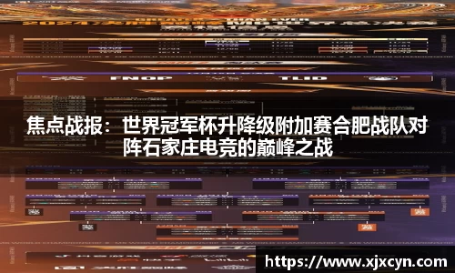中欧体育官网